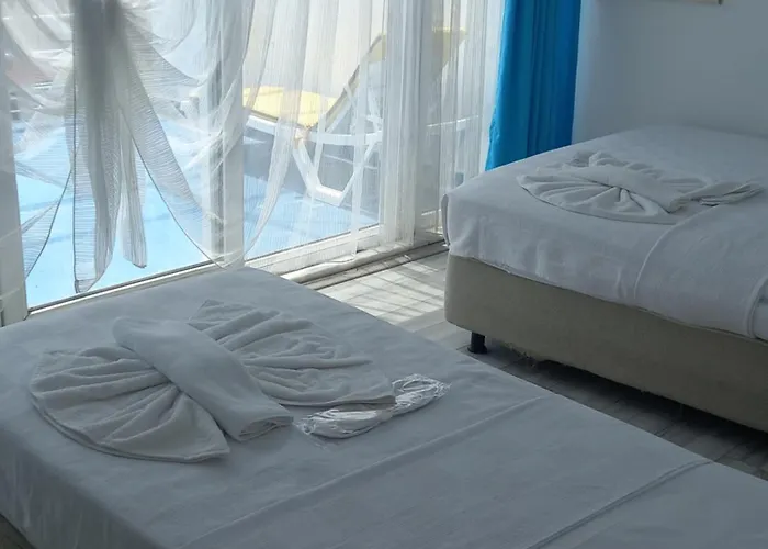Paradise Akcay * 에드레미트
