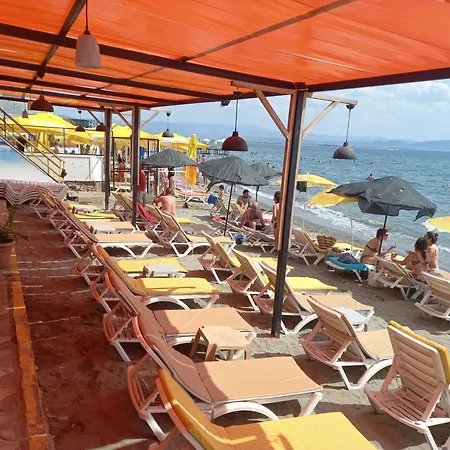 Paradise Akcay